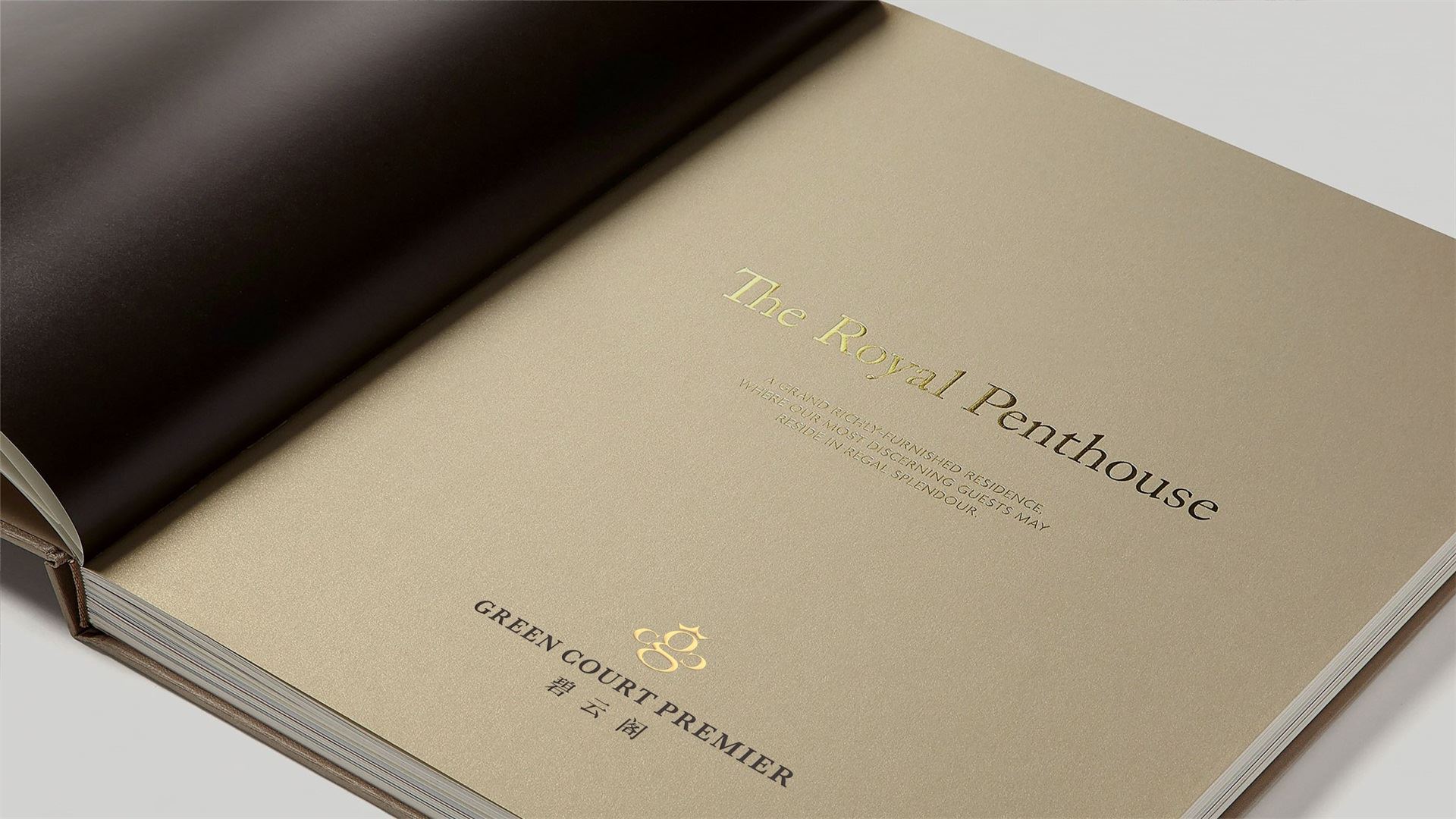 1584690455387369.jpg wubrand-gcp- (20).jpg