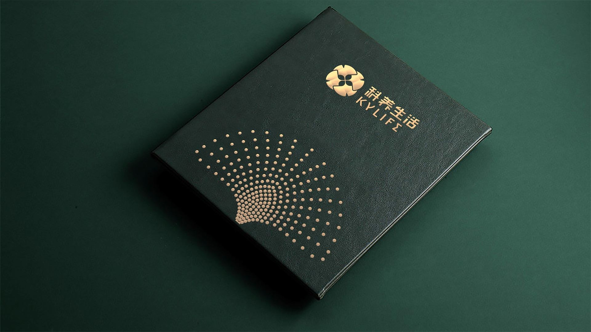 1584708184961185.jpg wubrand-keylife- (10).jpg