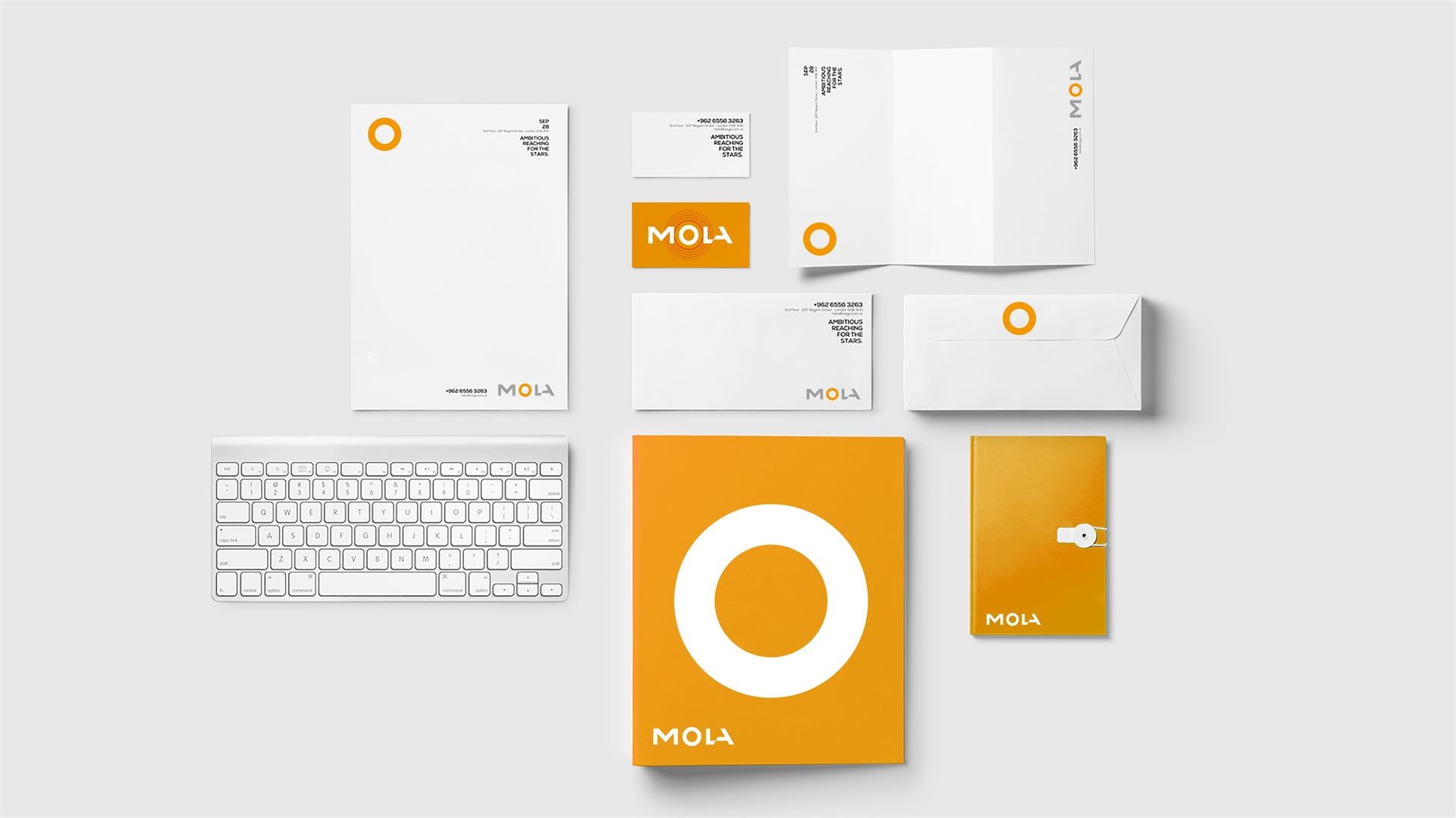 1584709615892152.jpg wubrand-mola (24).jpg